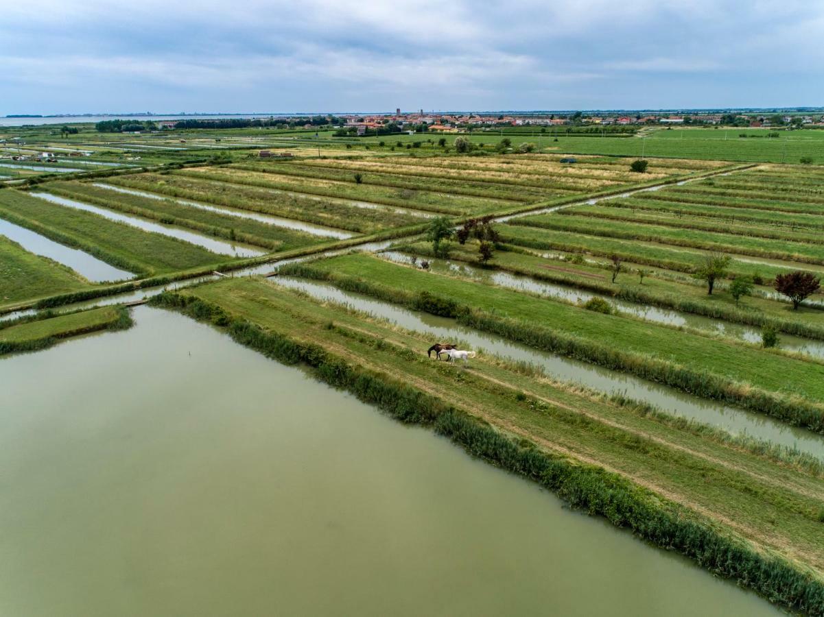 Agriturismo Valle Ca' Del Lovo Carlino エクステリア 写真